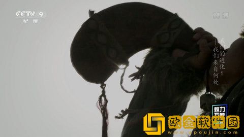 西班牙剧《爱欲焚身》典藏版