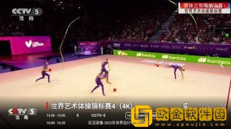 菠萝蜜在线观看免费播放电视剧钻石版