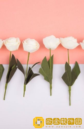 国外直播app尺度大都有哪些国语免费看